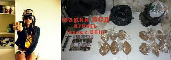 амф Дмитров