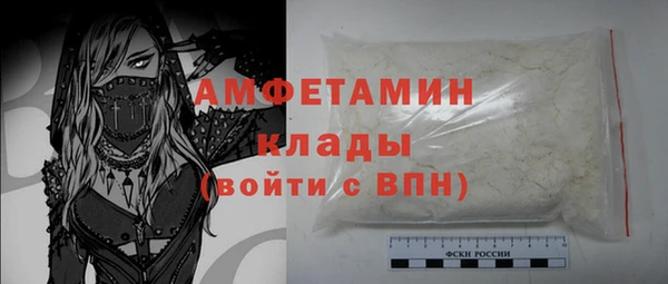 амф Дмитров