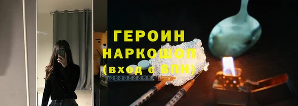 гидра Елизово