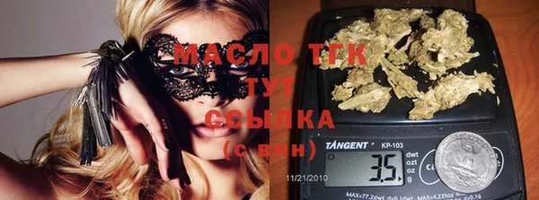 амф Дмитров