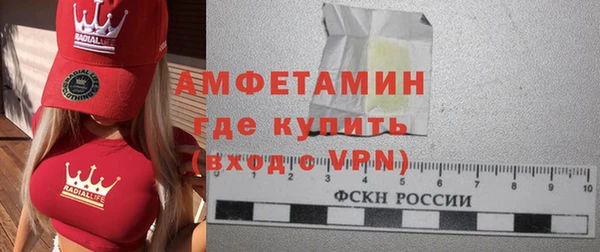 гидра Елизово