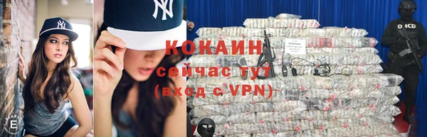 амф Дмитров