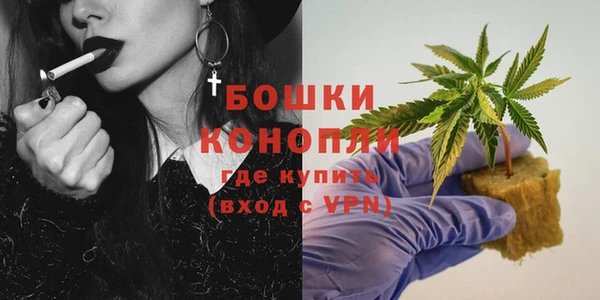 амф Дмитров